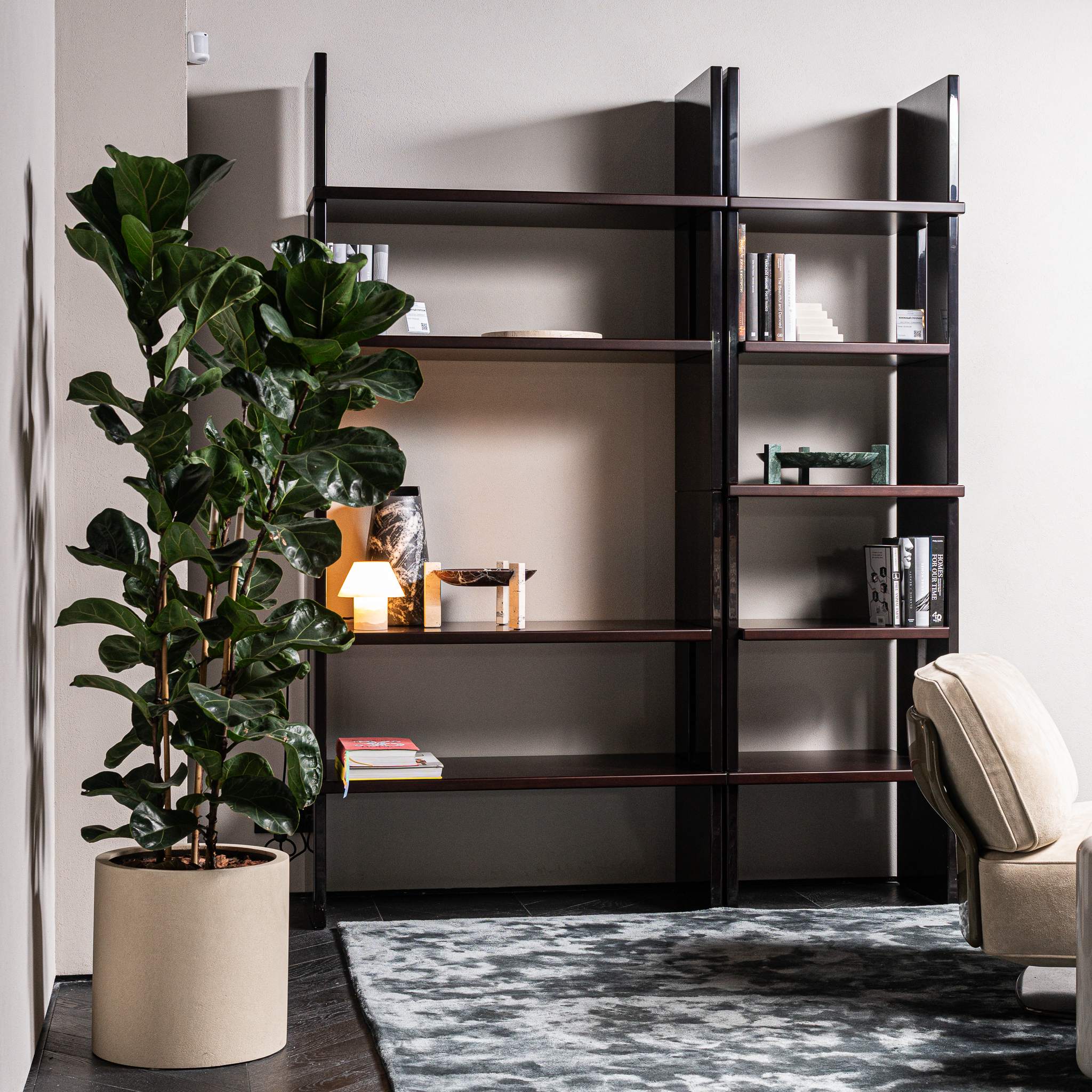 Стеллаж/библиотека Zoe 100 Canaletto Walnut Dark brown/Moka от Minotti